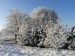 2017_zima ve Vilémovicích (5)